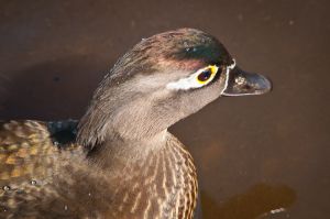 DSC_3122.JPG